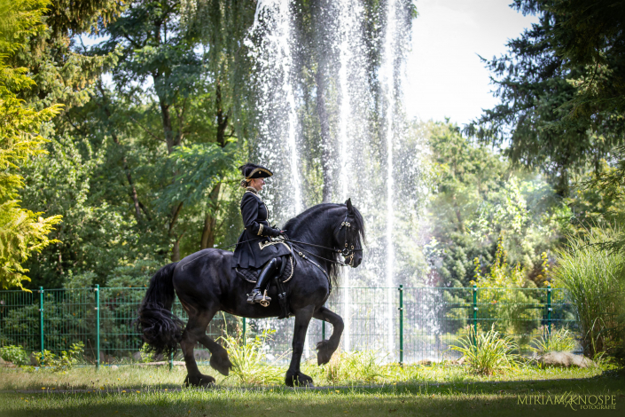 Mr.Darcy Piaffe Wasserspiel